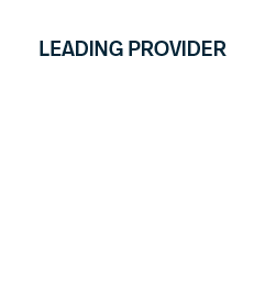 DS_leading provider_2026_WHITE_ Bordered-01