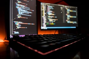 Recovering Damages for Stolen Software through Litigation Funding