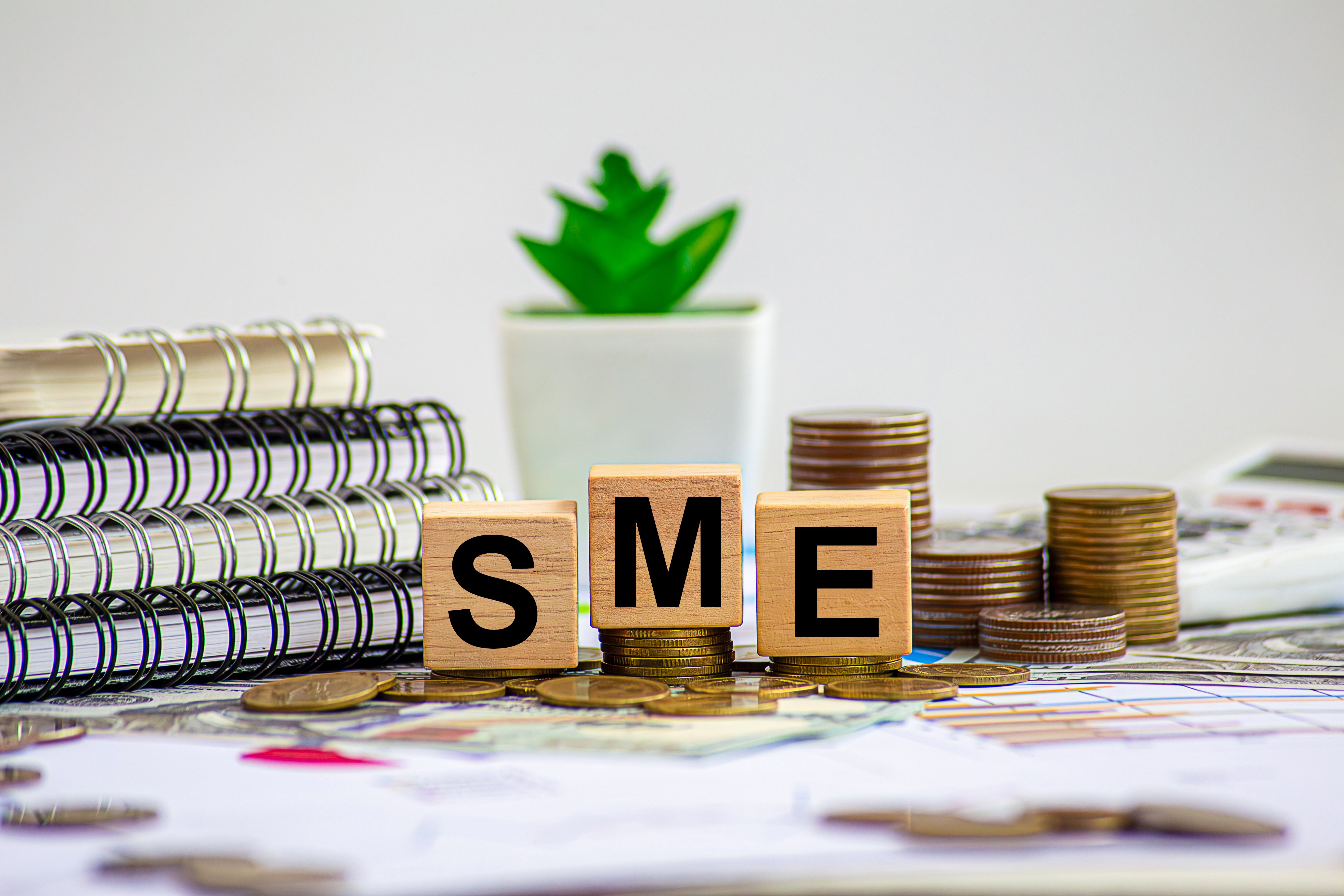 Litigation Funding: SMEs Discover the Value of Legal Disputes as a Source of Liquidity