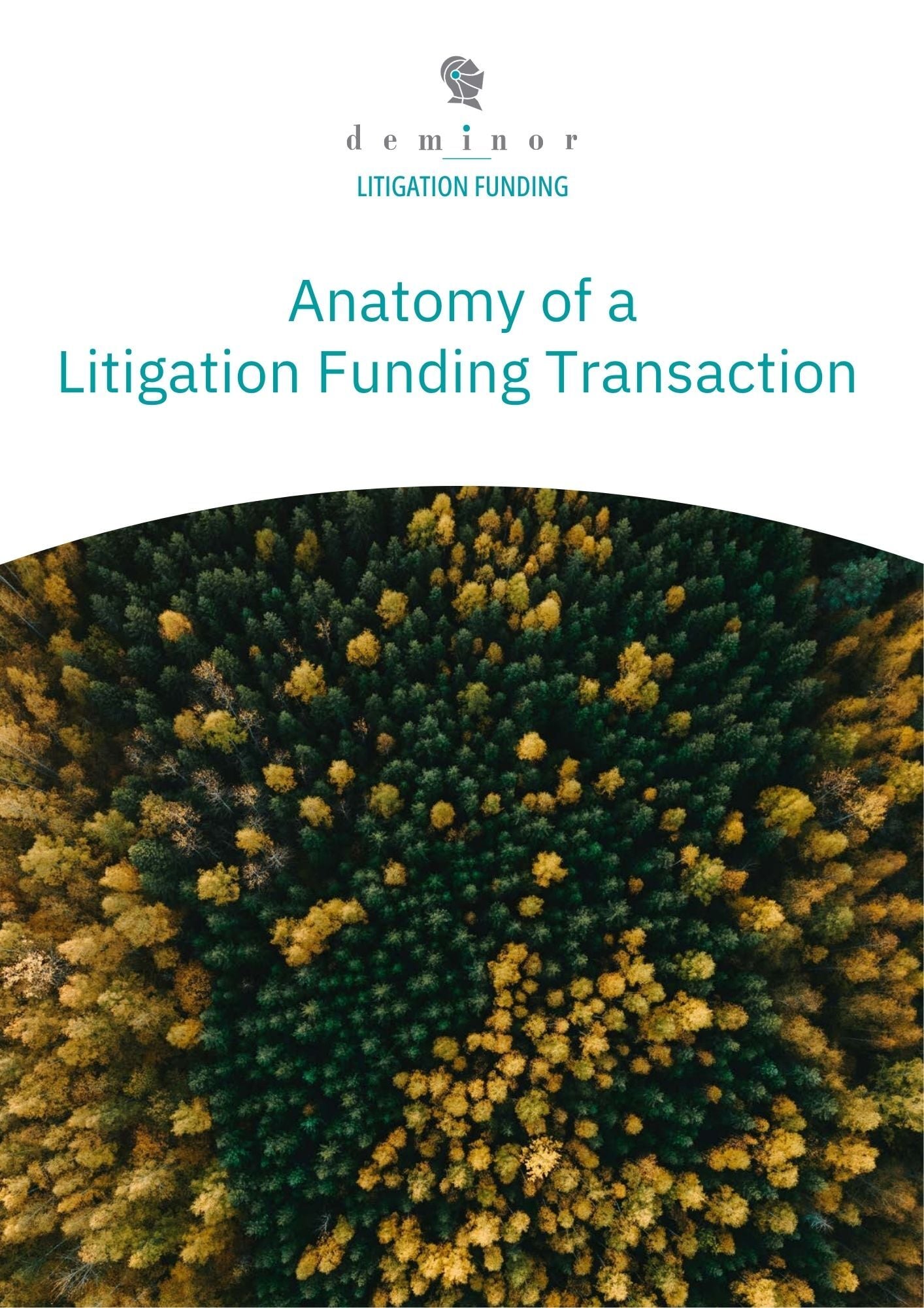Whitepaper-Anatomy of a Litigation Funding Transaction.pdf (1)